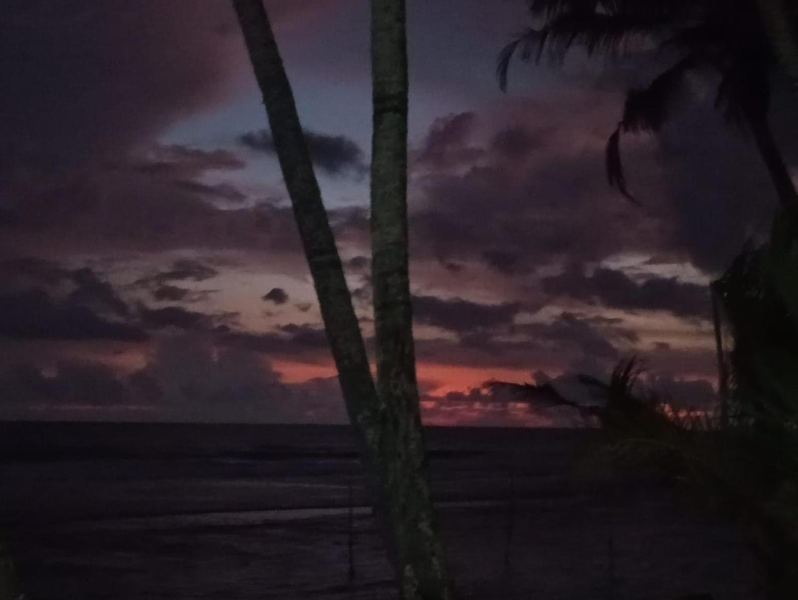 Turtle Eco Beach ماتارا المظهر الخارجي الصورة
