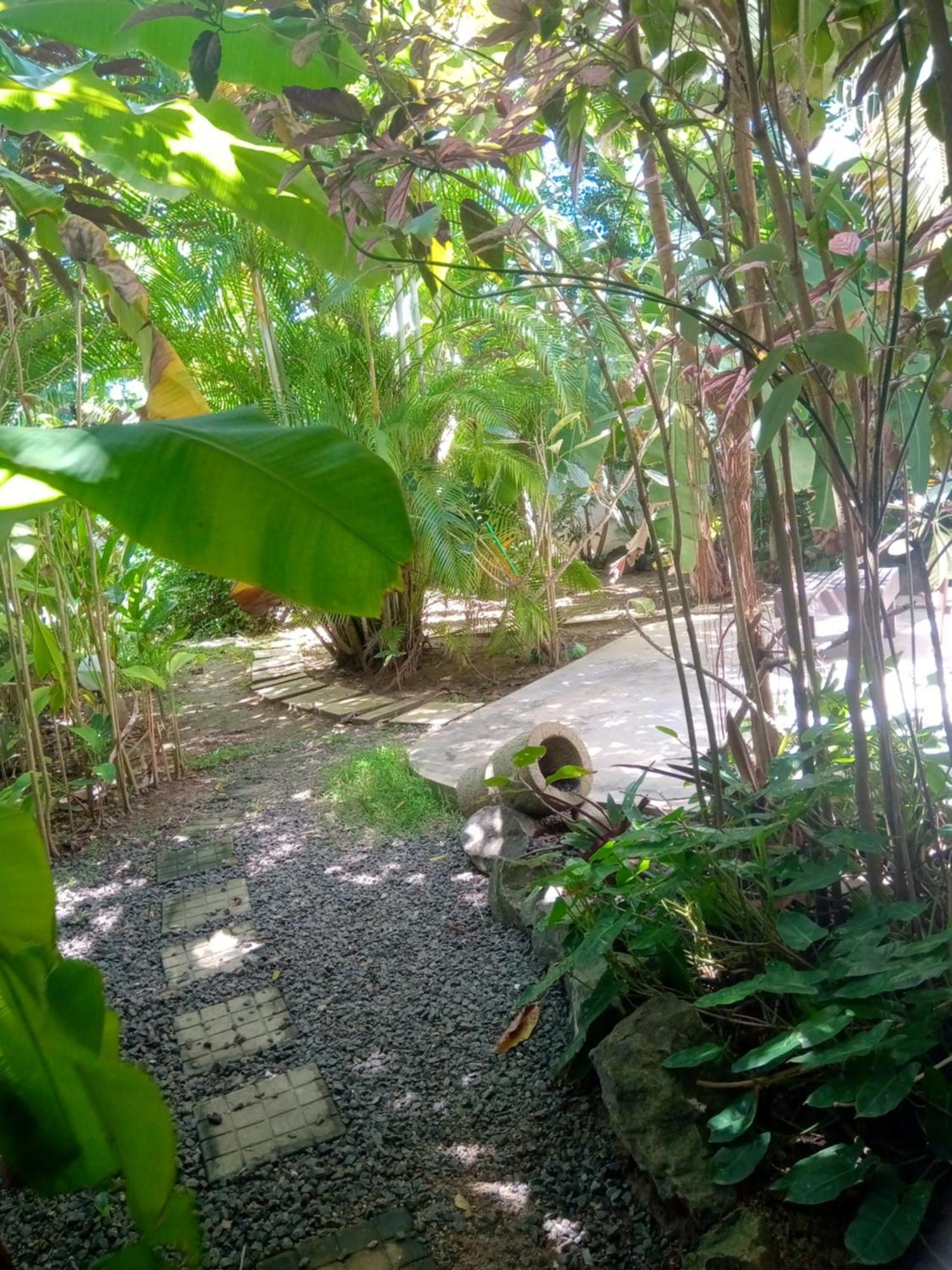 Turtle Eco Beach ماتارا المظهر الخارجي الصورة