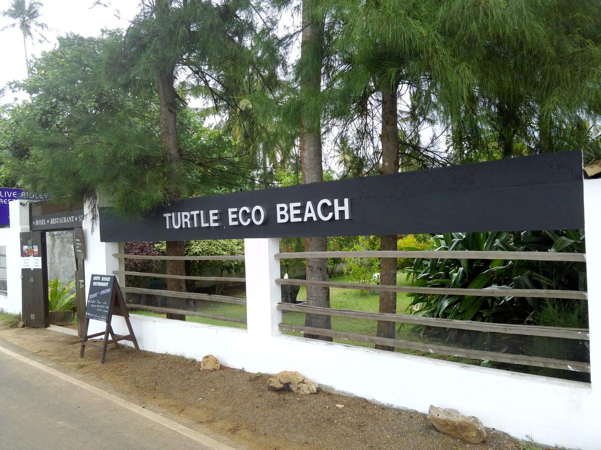 Turtle Eco Beach ماتارا المظهر الخارجي الصورة