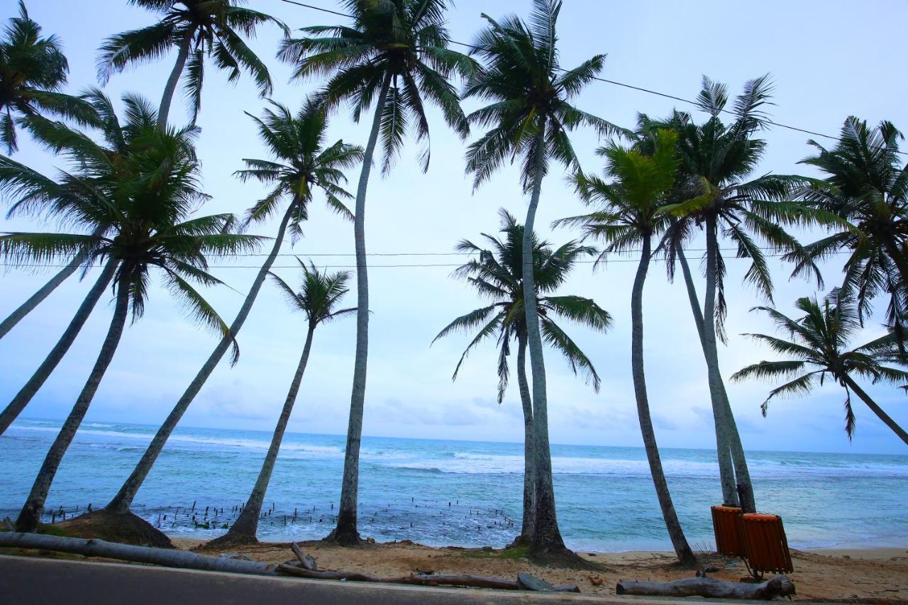 Turtle Eco Beach ماتارا المظهر الخارجي الصورة