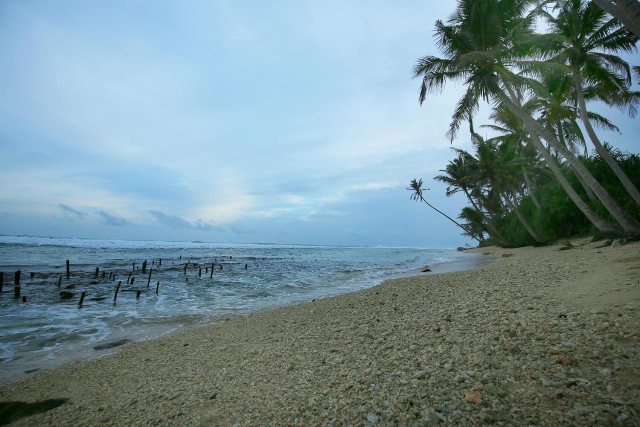 Turtle Eco Beach ماتارا المظهر الخارجي الصورة