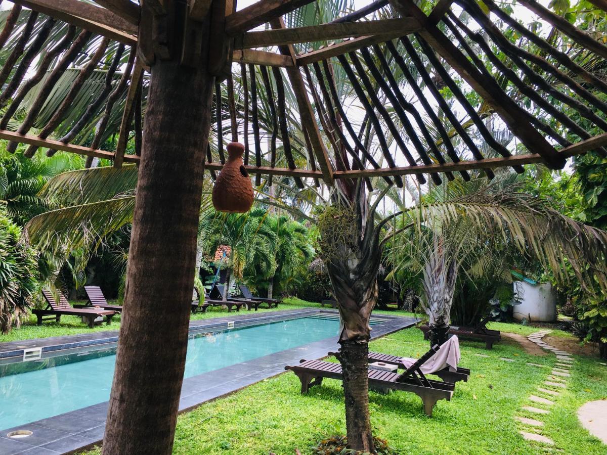 Turtle Eco Beach ماتارا المظهر الخارجي الصورة